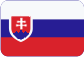 Zakladanie firiem v Českej republike Slovensky